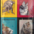 「4 CATS」松江比佐子