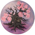 《ご売約済み》「古木の桜」／HiroRing
