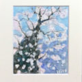 「夕暮れの桜」／満田博久